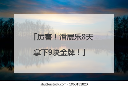 厉害！潘展乐8天拿下9块金牌！