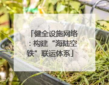 健全设施网络：构建“海陆空铁”联运体系