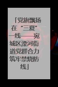 党旗飘扬在“三夏”一线——宛城区溧河街道党群合力筑牢禁烧防线