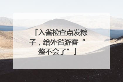 入省检查点发粽子，给外省游客“整不会了”