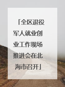 全区退役军人就业创业工作现场推进会在北海市召开