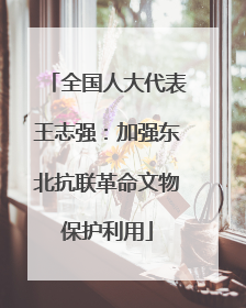 全国人大代表王志强：加强东北抗联革命文物保护利用