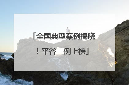 全国典型案例揭晓！平谷一例上榜