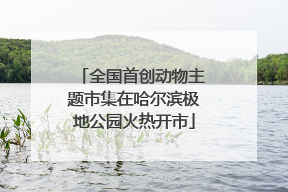 全国首创动物主题市集在哈尔滨极地公园火热开市