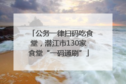 公务一律扫码吃食堂，潜江市130家食堂“一码通刷”
