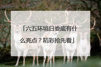 六五环境日娄底有什么亮点？精彩抢先看