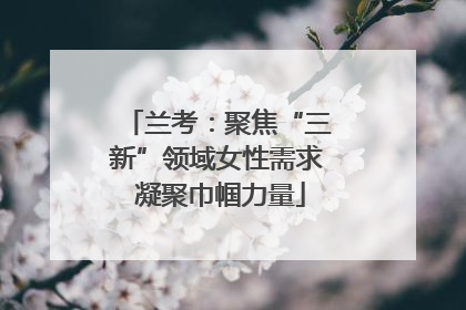 兰考：聚焦“三新”领域女性需求 凝聚巾帼力量