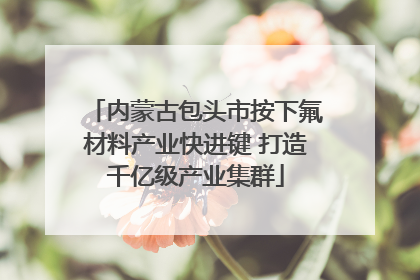 内蒙古包头市按下氟材料产业快进键 打造千亿级产业集群