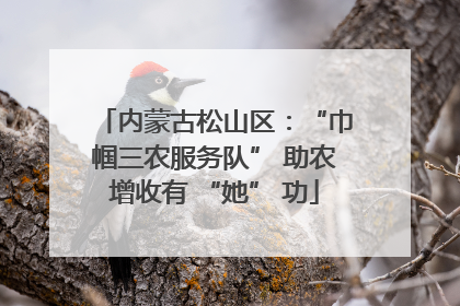 内蒙古松山区：“巾帼三农服务队” 助农增收有 “她” 功