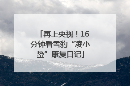 再上央视！16分钟看雪豹“凌小蛰”康复日记