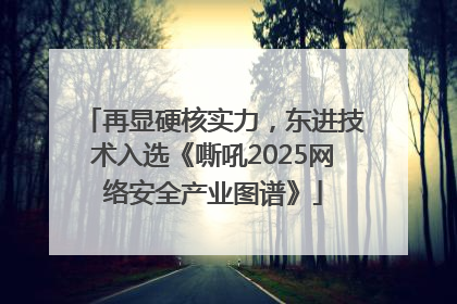 再显硬核实力，东进技术入选《嘶吼2025网络安全产业图谱》