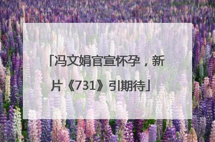 冯文娟官宣怀孕，新片《731》引期待
