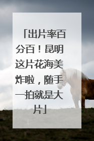 出片率百分百！昆明这片花海美炸啦，随手一拍就是大片