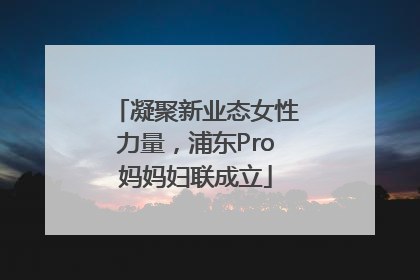 凝聚新业态女性力量，浦东Pro妈妈妇联成立