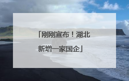 刚刚宣布！湖北新增一家国企