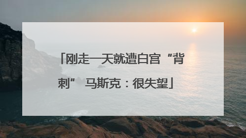 刚走一天就遭白宫“背刺” 马斯克：很失望