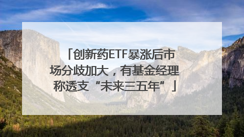 创新药ETF暴涨后市场分歧加大，有基金经理称透支“未来三五年”