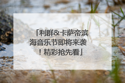 利群&卡萨帝滨海音乐节即将来袭！精彩抢先看