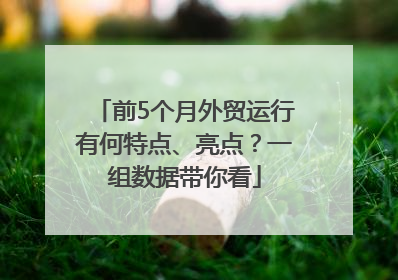 前5个月外贸运行有何特点、亮点？一组数据带你看