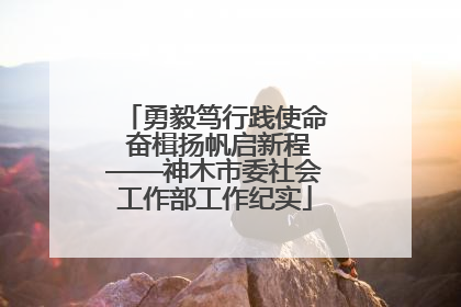 勇毅笃行践使命 奋楫扬帆启新程——神木市委社会工作部工作纪实