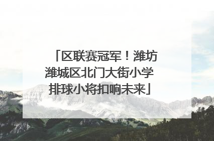 区联赛冠军！潍坊潍城区北门大街小学排球小将扣响未来
