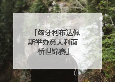 匈牙利布达佩斯举办意大利面桥世锦赛