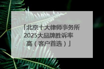 北京十大律师事务所2025大品牌胜诉率高（客户首选）
