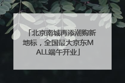 北京南城再添潮购新地标，全国最大京东MALL端午开业