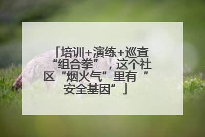 培训+演练+巡查“组合拳”，这个社区“烟火气”里有“安全基因”