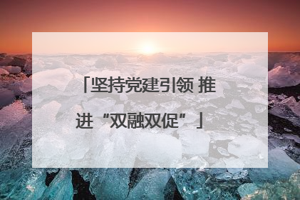 坚持党建引领 推进“双融双促”
