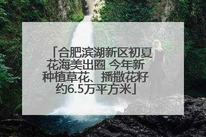 合肥滨湖新区初夏花海美出圈 今年新种植草花、播撒花籽约6.5万平方米