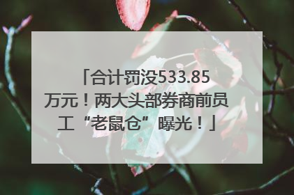 合计罚没533.85万元！两大头部券商前员工“老鼠仓”曝光！