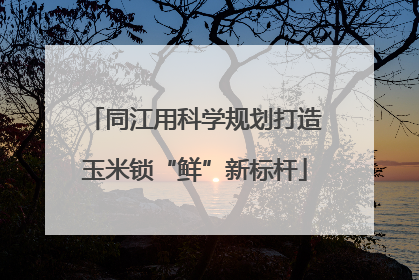 同江用科学规划打造玉米锁“鲜”新标杆