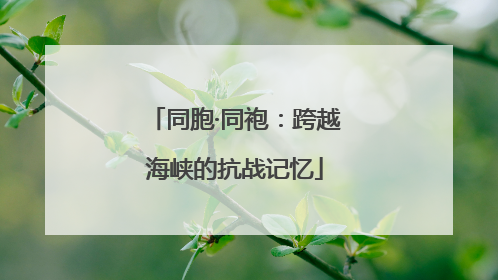 同胞·同袍：跨越海峡的抗战记忆