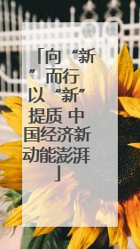 向“新”而行 以“新”提质 中国经济新动能澎湃