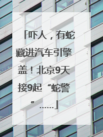 吓人，有蛇藏进汽车引擎盖！北京9天接9起“蛇警”……