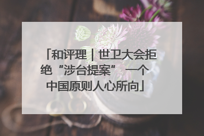 和评理｜世卫大会拒绝“涉台提案” 一个中国原则人心所向