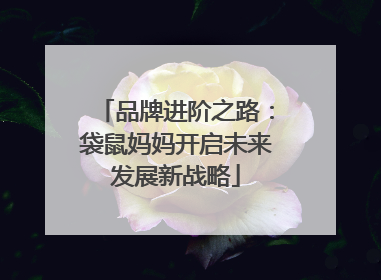 品牌进阶之路：袋鼠妈妈开启未来发展新战略