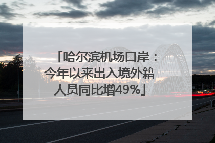 哈尔滨机场口岸：今年以来出入境外籍人员同比增49%