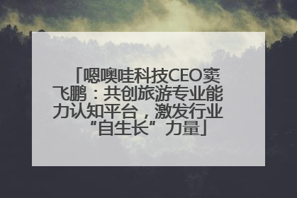 嗯噢哇科技CEO窦飞鹏：共创旅游专业能力认知平台，激发行业“自生长”力量
