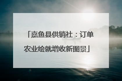 嘉鱼县供销社：订单农业绘就增收新图景