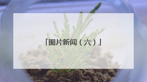 图片新闻（六）