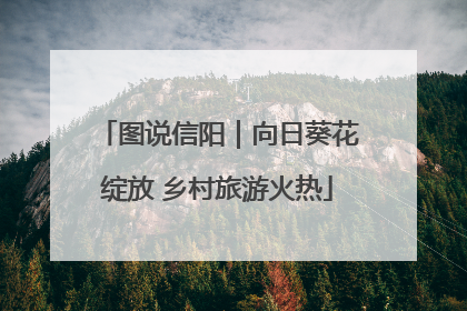 图说信阳｜向日葵花绽放 乡村旅游火热
