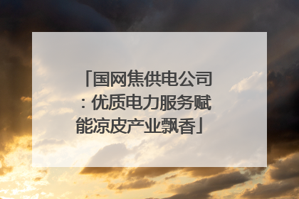 国网焦供电公司：优质电力服务赋能凉皮产业飘香