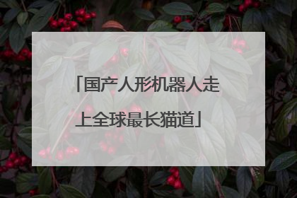 国产人形机器人走上全球最长猫道
