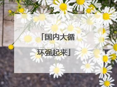 国内大循环强起来