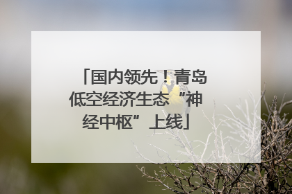 国内领先！青岛低空经济生态“神经中枢”上线