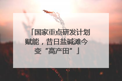 国家重点研发计划赋能，昔日盐碱滩今变“高产田”