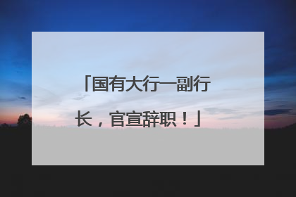 国有大行一副行长，官宣辞职！