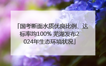国考断面水质优良比例、达标率均100% 芜湖发布2024年生态环境状况